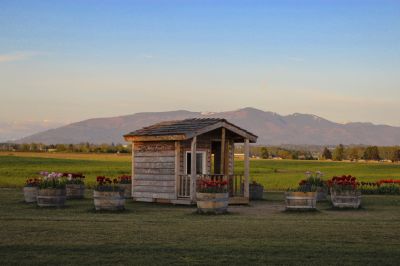 Explore New Places with Tiny House Moving!